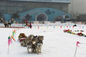 租大巴考斯特去北京温都水城滑雪场包车价格,租车带司机费用